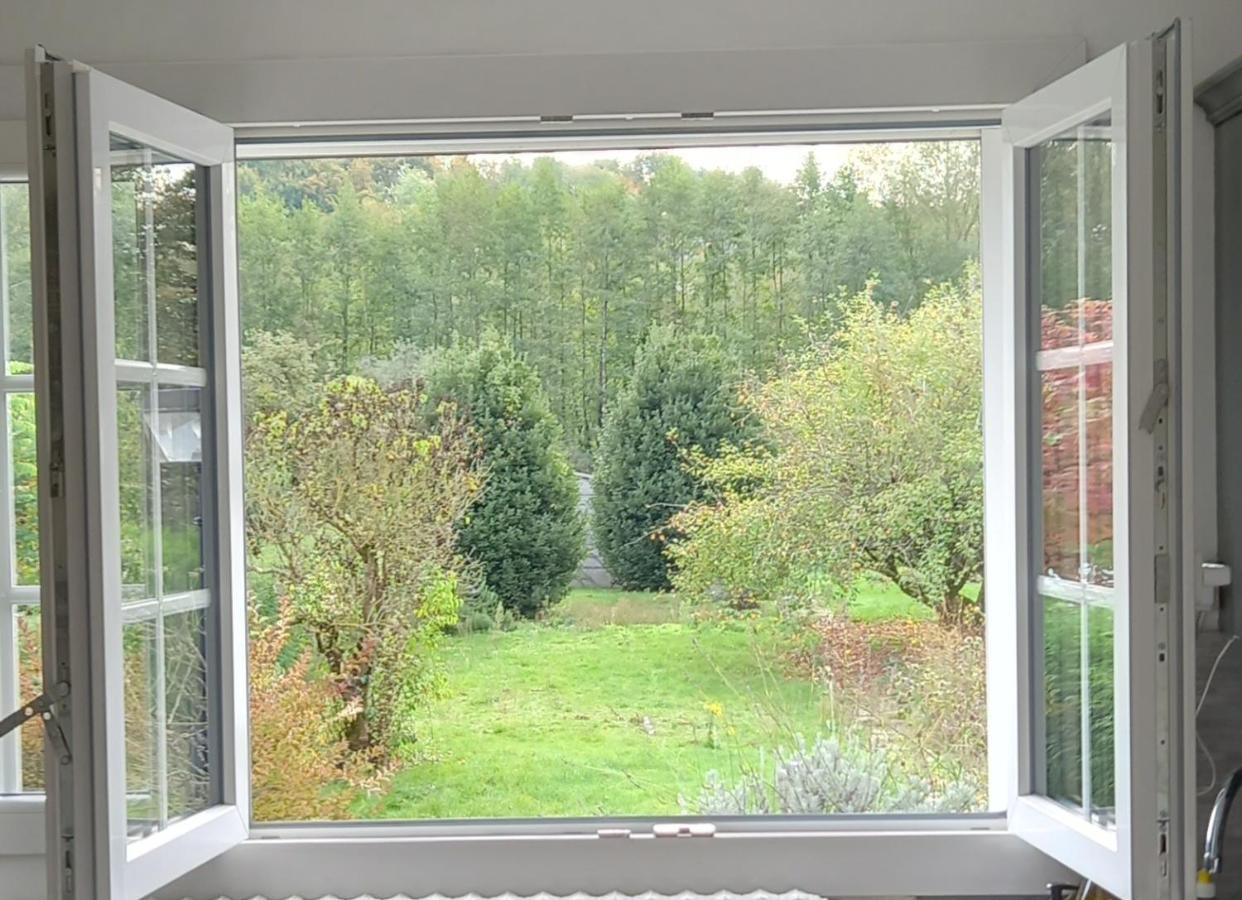 Apartamento Au Bord Du Vilpion Marle-et-Behaine Exterior foto